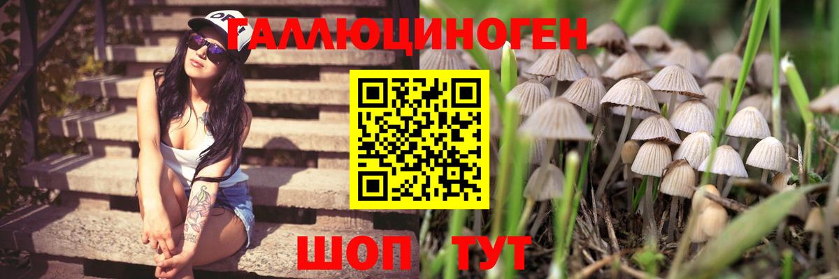 Галлюциногенные грибы мухоморы Саров