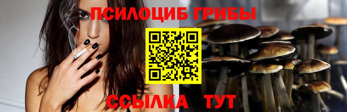 Саров  Псилоцибиновые грибы мицелий  Псилоцибиновые грибы Magic Shrooms  Вход с VPN 