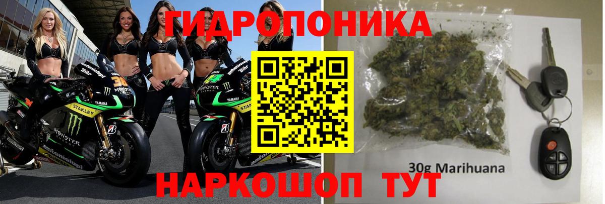 Шишки марихуана гибрид Саров